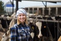 Young woman taking care of cows in cows barn