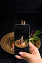 A young woman taking photo of food on smartphone, photographing meal with mobile camera Royalty Free Stock Photo