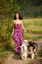Young woman taking two collies on a walk Royalty Free Stock Photo