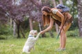 Young woman teaching a dog basic commands