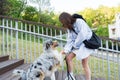 Young woman teaching her cute aussie dog shake command. Royalty Free Stock Photo