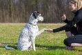 Young woman teaching her dog to present its paw