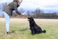 Young woman teaching her dog to sit and stay Royalty Free Stock Photo