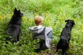 Young woman texting on the phone with two black dogs sitting in the grass