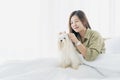 Young woman ties the hair to a white-haired maltese dog. Baby Grooming for white dog