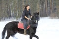 Young woman on top a bay horse in winter forest Royalty Free Stock Photo