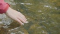 Young woman touching the water of the river in the forest. Young tourist touches the river hand Royalty Free Stock Photo