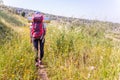 Woman tourist hiking high grass field.