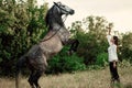 Young woman trains grey horse in pasture Royalty Free Stock Photo