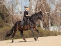 Young woman trains a horse Royalty Free Stock Photo