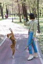 A young woman trains a non-barking African dog for a walk in the park. The Basenji performs the command on its hind legs