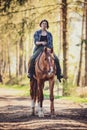 Young woman and trakehner horse in the morning in spring forest