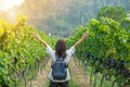 Young Woman traveling backpacker, Asian traveler standing in beautiful Vineyards in autumn