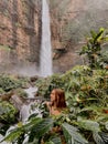 Young woman traveller at the waterfall, surrounded by the jungles. Red waterfall.