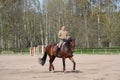 Young woman trotting on the horse Royalty Free Stock Photo