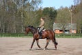 Young woman trotting on the horse Royalty Free Stock Photo