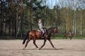 Young woman trotting on the horse Royalty Free Stock Photo