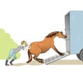 Young woman trying to load a horse on trailer Royalty Free Stock Photo