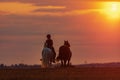 Young woman with two black and white horses leaving at sunset Royalty Free Stock Photo