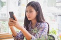 Young woman typing text message on smart phone in modern cafe. Asian girl sitting at table using mobile phone Royalty Free Stock Photo