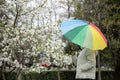 Young woman with umbrella in park on spring day . Royalty Free Stock Photo