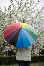 Young woman with umbrella in park on spring day . Rear view , vertical shot . Royalty Free Stock Photo