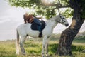 Woman in unbuttoned jacket sits horseback on white horse on meadow Royalty Free Stock Photo