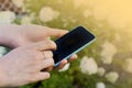 Young Woman using Cell Phone with Flowers in Background Royalty Free Stock Photo