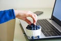 Young woman using laptop computer at home and eating blueberry