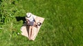 Young woman using laptop computer in park, student girl freelancer working and studying online outdoors sitting on grass Royalty Free Stock Photo