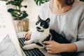 Young woman using laptop and cute cat sitting on keyboard. Faithful friend. Casual girl working on laptop with her cat, sitting Royalty Free Stock Photo