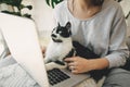 Young woman using laptop and cute cat sitting on keyboard.Home office. Girl working on laptop with her cat, sitting together in Royalty Free Stock Photo