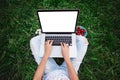 Young woman using and typing laptop computer in summer grass. Freelancer working in outdoor park. Royalty Free Stock Photo