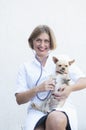 young woman veterinarian listens to the chihuahua dog with a phonedoscope Royalty Free Stock Photo