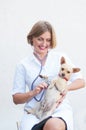 young woman veterinarian listens to the chihuahua dog with a phonedoscope Royalty Free Stock Photo