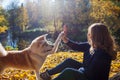 Young woman on a walk with her dog breed Akita inu. Royalty Free Stock Photo