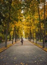 Young woman walking on the alley in the empty autumn park. Beautiful view and silence, colorful leaves fallen on the ground and Royalty Free Stock Photo