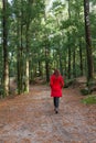 Young woman walking alone on a forest dirt path Royalty Free Stock Photo