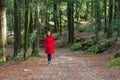 Young woman walking alone on a forest Royalty Free Stock Photo