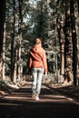 Young woman walking away alone on park path wearing red coat. Back view of elegant girl strolling in autumn forest Royalty Free Stock Photo