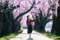 Young woman walking in cherry blossom garden on a spring day. Row cherry blossom trees in Kyoto, Japan Royalty Free Stock Photo