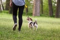 Young woman walking with a dog playing training Royalty Free Stock Photo