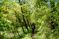 Young woman walking and exploring alone woods on a sunny summer day in daylight following path