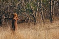 Young woman walking in golden dried grass field