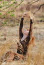 Young woman walking in golden dried grass field