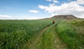 Young woman walking in a grassland green field in spring.