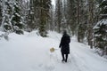 A young woman walking her blonde pomeranian puppy along a snowy trail in the forest, beside Emerald Lake, British Columbia, Canada Royalty Free Stock Photo