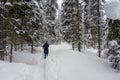 A young woman walking her blonde pomeranian puppy along a snowy trail in the forest, beside Emerald Lake, British Columbia, Canada Royalty Free Stock Photo