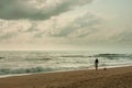 Young woman walking with her dog on the beach with beautiful sky (retro style) Royalty Free Stock Photo