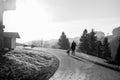 Young woman walking with her dog in swiss mountains with back sun light - People loving animals - Black and white editing - Royalty Free Stock Photo